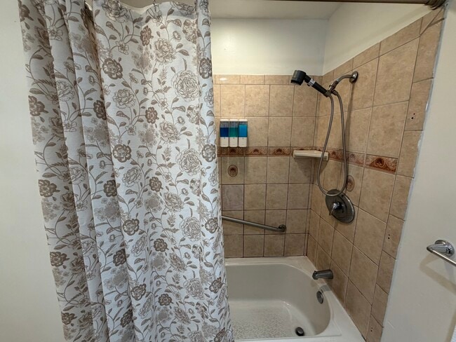 BATHTUB - 3926 W 59th St