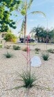 Front Yard - 14066 Glendale Ct House