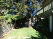 Yard off Balcony - 602 W Carrillo St Unit B