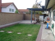 Backyard - 25 Mecklenberg