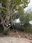 Photo - 6213 Commodore Sloat Dr Unit 6213