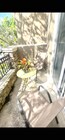 Photo - 1356 Dandelion Way Townhome