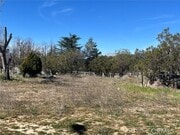 Photo - 38900 Howard Rd