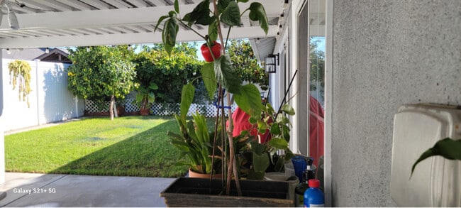 Photo - 9621 Telhan Dr