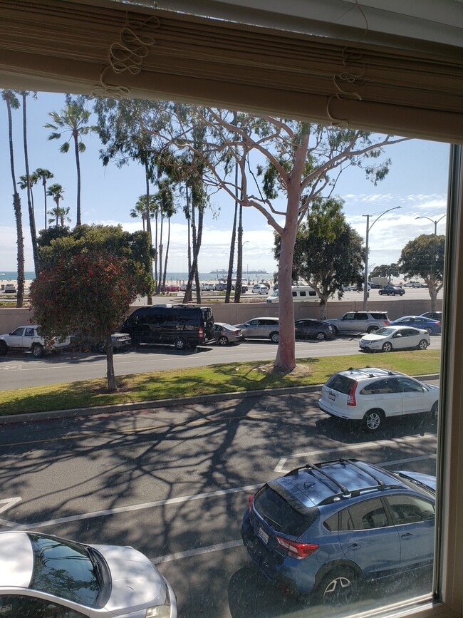 Photo - 4811 E Ocean Blvd Unit 4811 E Ocean Blvd apt 2