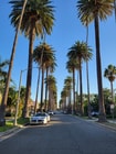 Photo - 362 S Palm Dr Apartment Unit 1