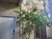Photo - 676 San Juan Ave Apartments Unit #A