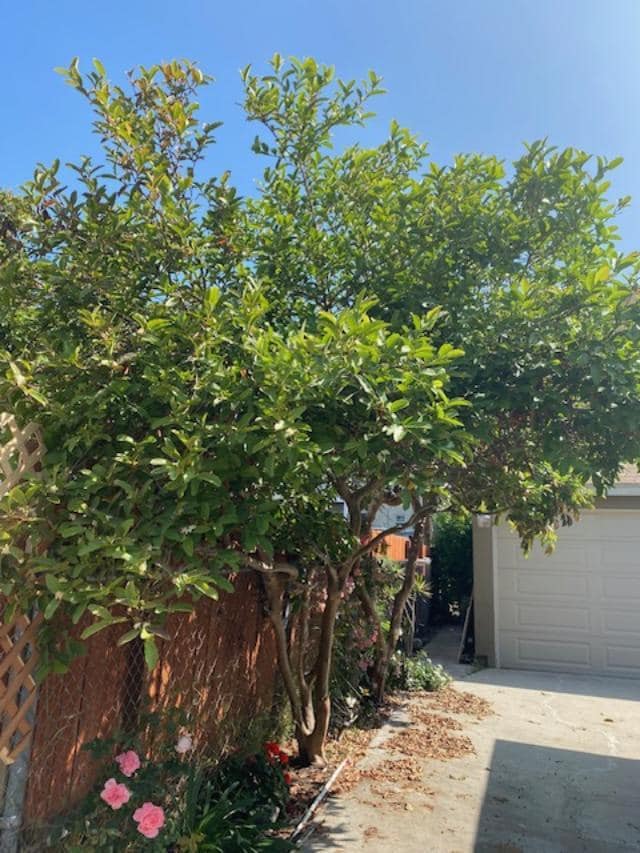 Photo - 1619 W 11th Pl Unit 1617 W. 11th Pl