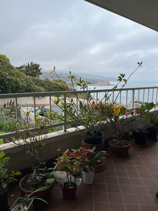 Stunning Abalone Cove outside your window - 32759 Seagate Dr Condo Unit 105
