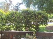 Photo - 23515 Lyons Ave Unit #131