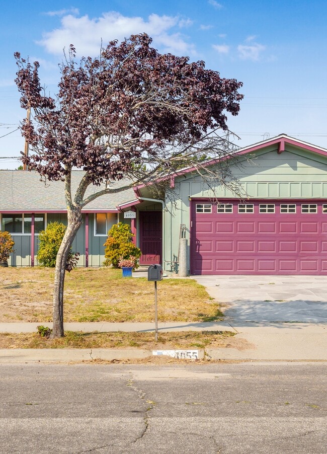 Building Photo - 4055 Draco Dr Rental