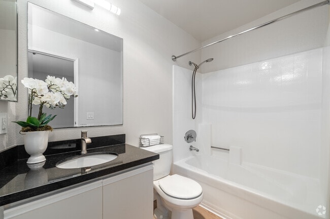 2BR, 2BA - 1,000SF - Bathroom - Palm Court Apartments