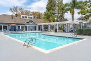 Pool - Avana Springs Apartments