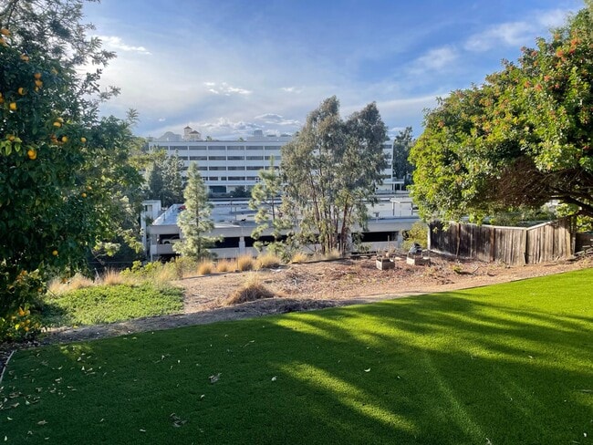 Photo - Great Views! Large 5 Bed 2 Bath House with a Quick Walk to Campus!!