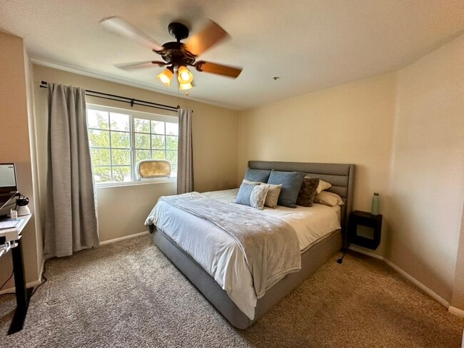 Photo - 537 N Adams St Unit 217