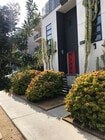 Sidewalk View - 741 Wilcox Ave Townhome