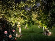 Photo - 7728 Sausalito Ave