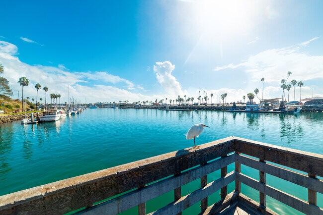 Salt & Vine Oceanside Apartments - Salt & Vine Oceanside Apartments