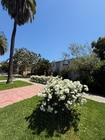 Photo - 2140 Beachwood Dr Apartment