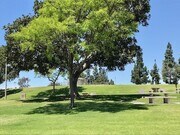 Photo - Enjoy the location and layout of this 2 BR, 1.5 BA at Gold Creek Townhomes.