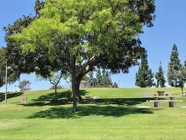 Photo - Enjoy the location and layout of this 2 BR, 1.5 BA at Gold Creek Townhomes.