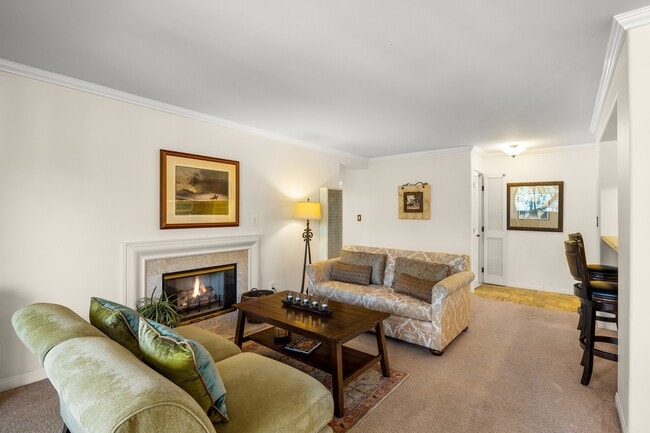 Photo - 245 Por La Mar Cir Unit 0