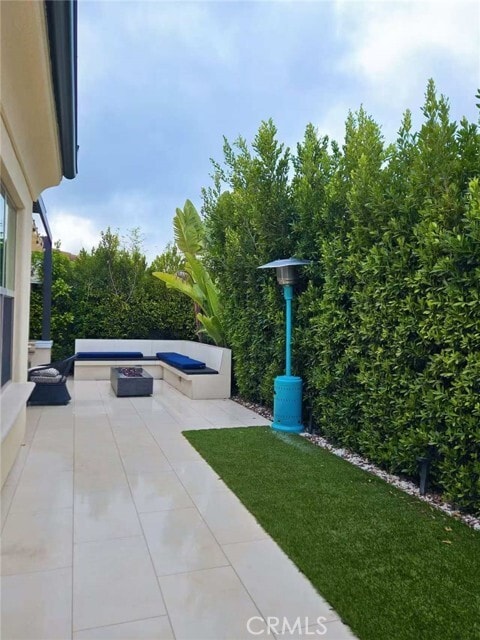 Photo - 117 Parakeet