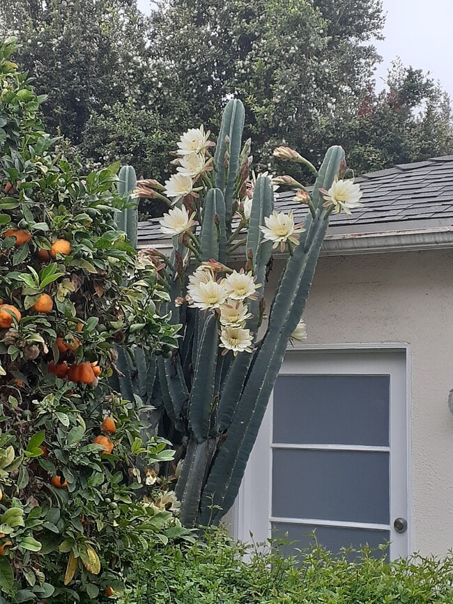 Building Photo - 2219 Glendon Ave Unit GH