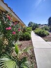Photo - 17381 Canyon Heights Dr
