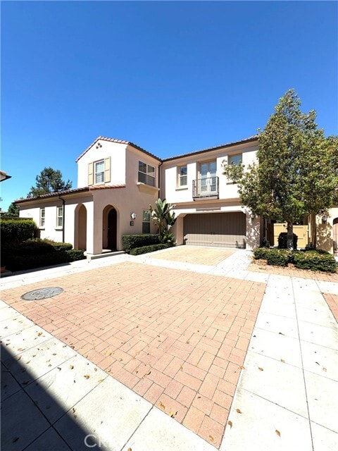 Photo - 89 Field Poppy