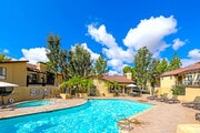 Community Pool - 25601 Indian Hill Ln Condo Unit F