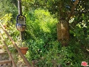 Photo - 8170 Gould Ave