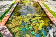 Lily pond - 450 N Sycamore Ave Unit 1