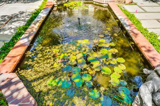 Lily pond - 450 N Sycamore Ave Unit 1