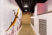 Photo - Otsego Noho Apartments