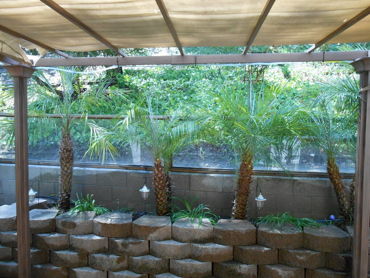 Patio - 25032 Terrace Lantern Unit 1