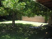 Shady Glen - Backyard with cool microclimae - 3121 W Wyoming Ave House