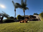 Photo - 3060 Marmil Ave Unit back house