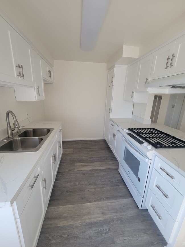 Photo - The Exotic Isle