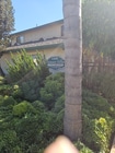 Photo - 1141 Persimmon Ave Apartment Unit 31