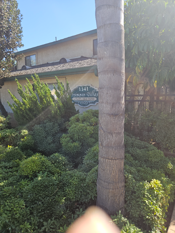 Photo - 1141 Persimmon Ave Apartment Unit 13