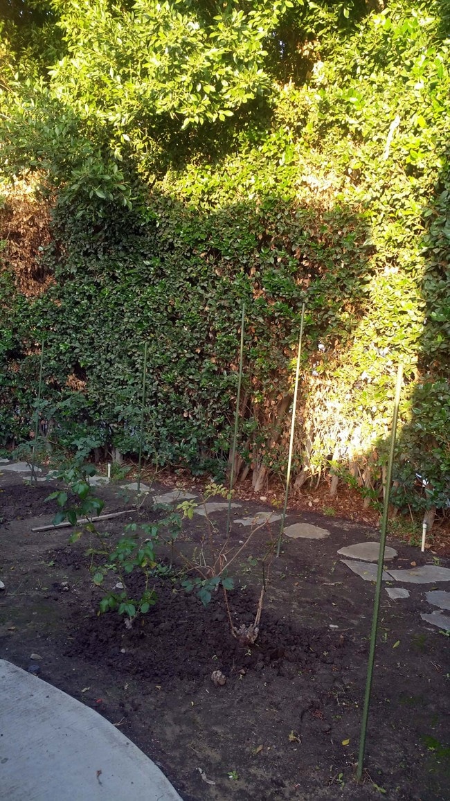 Photo - 5419 Willowcrest Ave