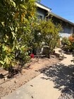 Photo - 8436 Lilienthal Ave