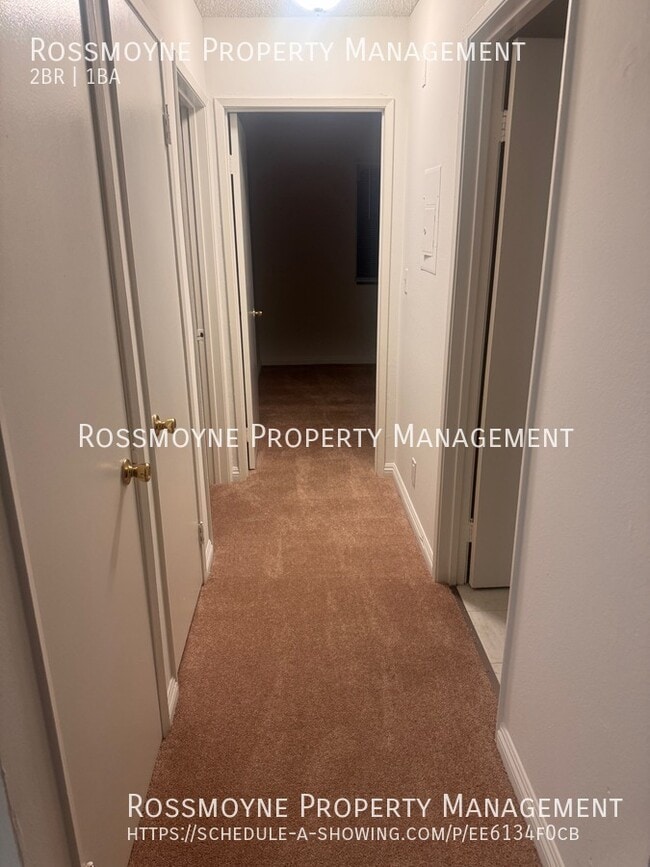 Photo - 10817 White St Unit 206