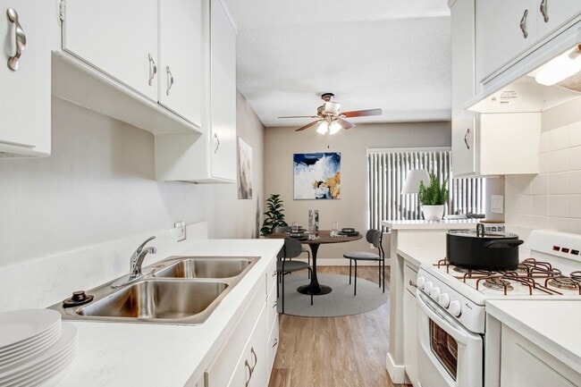 Photo - The McLaughlin Avenue Apartments