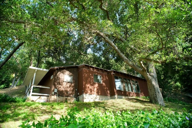 Building Photo - 9710 Mistletoe Rd Unit Guesthouse Detached