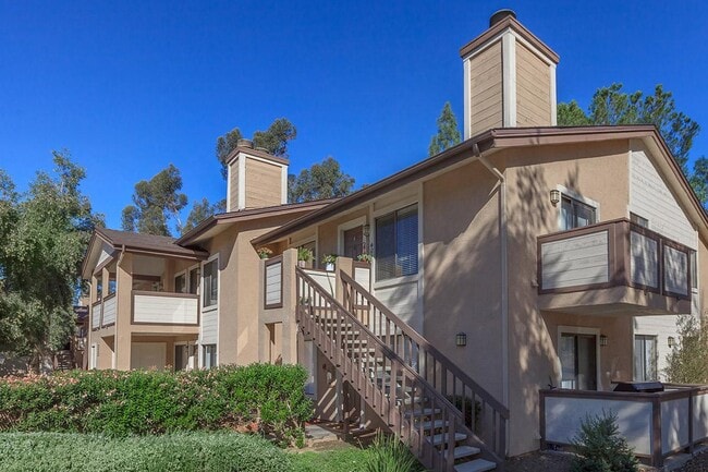 Photo - Alpine Woods