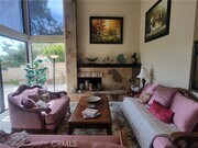 Photo - 5 Morning Glory