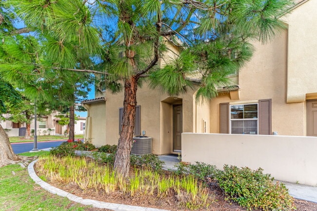 Photo - 1429 Caminito Sardinia