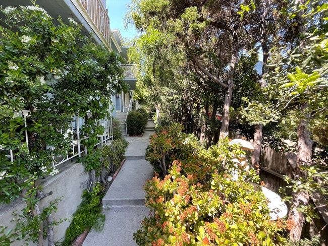 Landscaping and pathway - 3661 Regal Pl Unit C